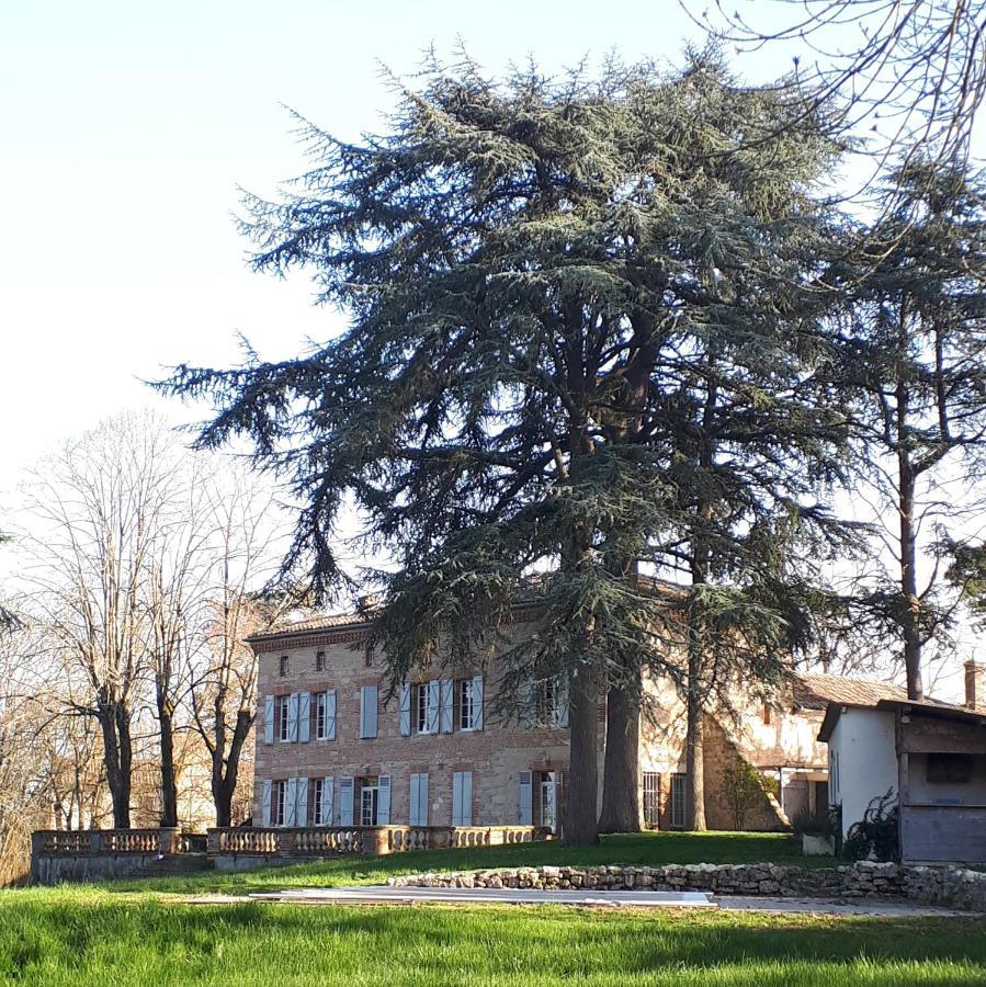 Le Jardin Des Cedres Hotel Lavaur  Eksteriør billede