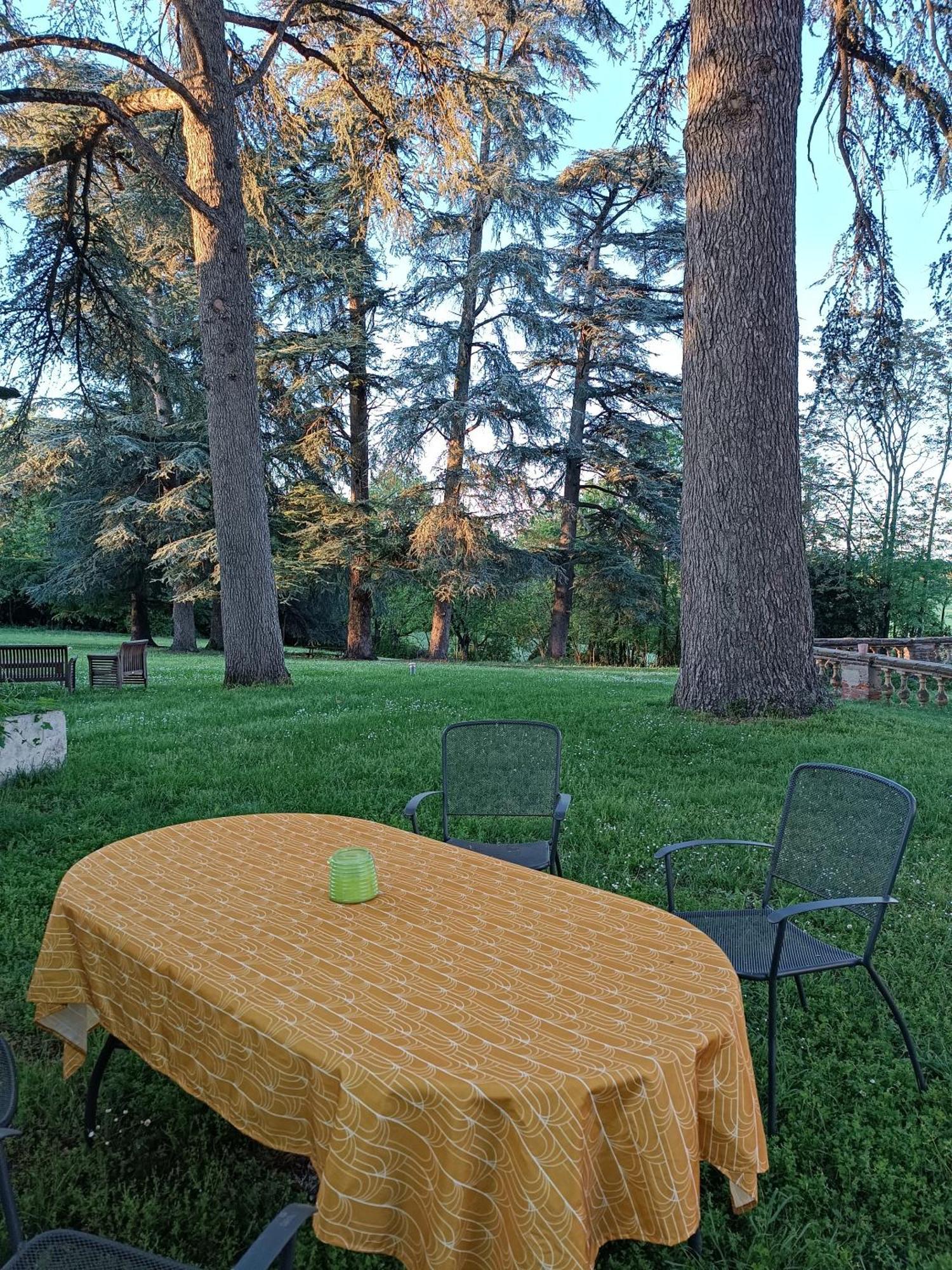 Le Jardin Des Cedres Hotel Lavaur  Eksteriør billede