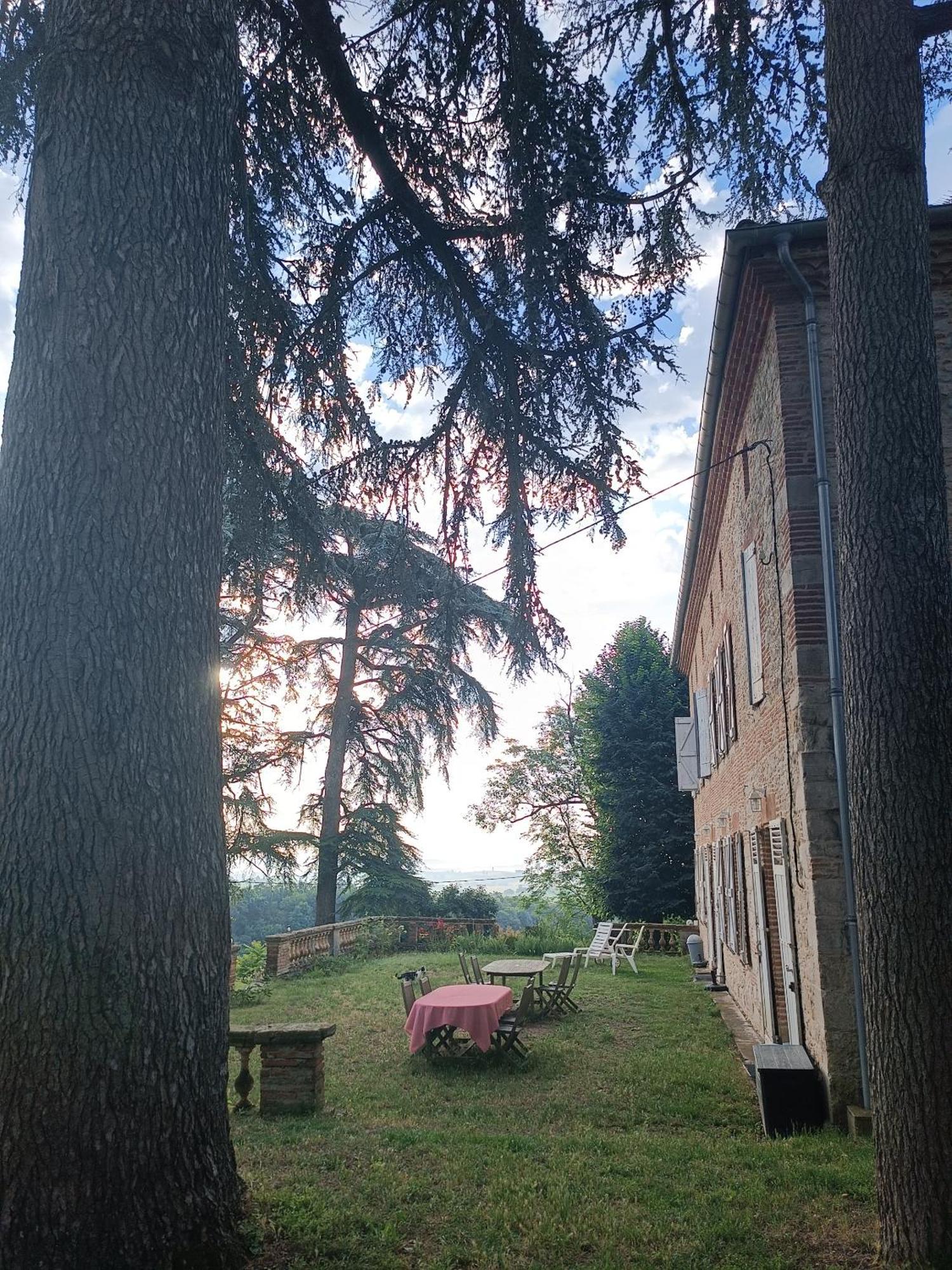Le Jardin Des Cedres Hotel Lavaur  Eksteriør billede